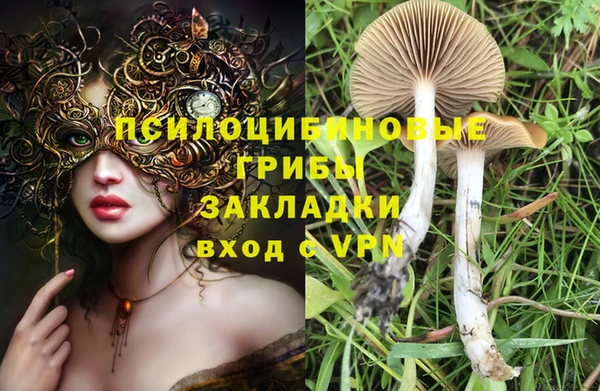 мдпв Верея