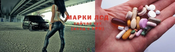 индика Верхний Тагил