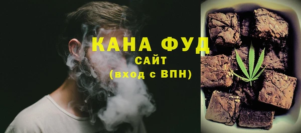 индика Верхний Тагил