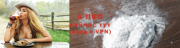 мдпв Верея