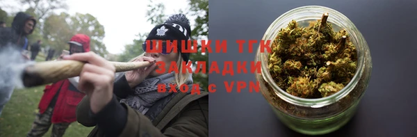 индика Верхний Тагил