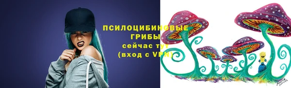 индика Верхний Тагил