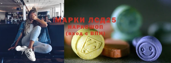 индика Верхний Тагил