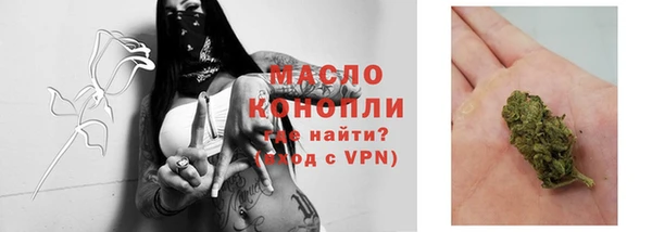 индика Верхний Тагил