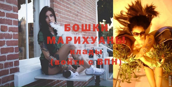 мдпв Верея