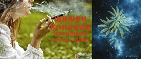 индика Верхний Тагил