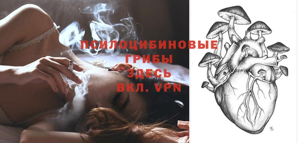 индика Верхний Тагил