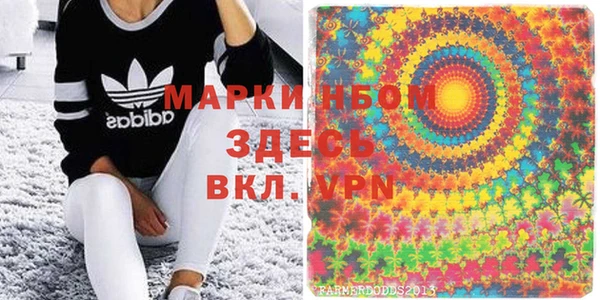 индика Верхний Тагил