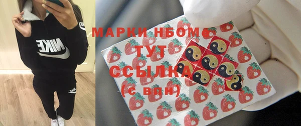 индика Верхний Тагил
